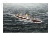 Otaio in heavy weather in the Tasman Sea